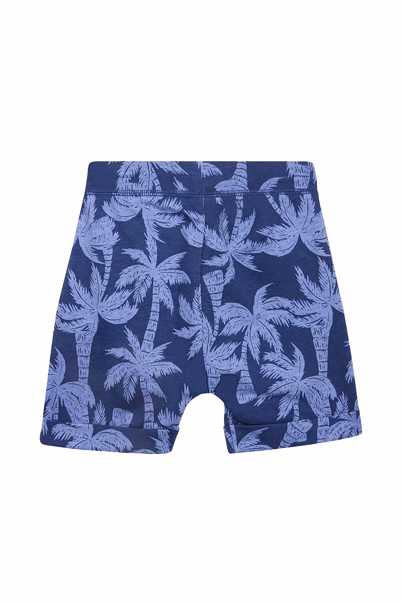 Palm Beach Shorts - Image 2