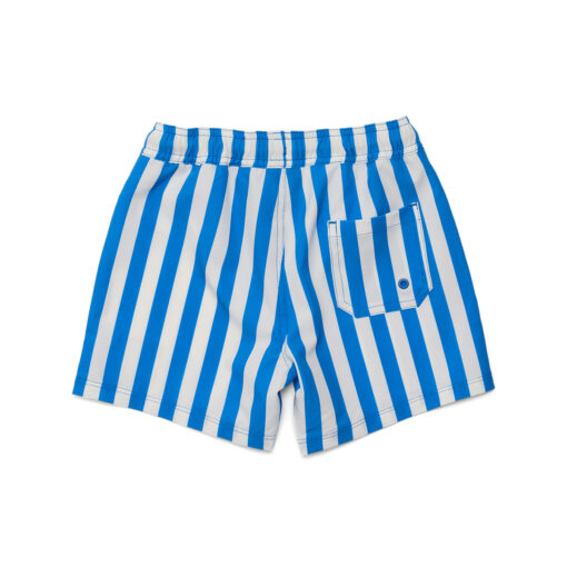 Deep Ocean Stripe Board Shorts - Image 2