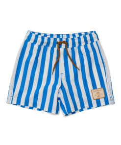 Deep Ocean Stripe Board Shorts
