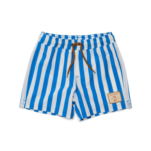Deep Ocean Stripe Board Shorts